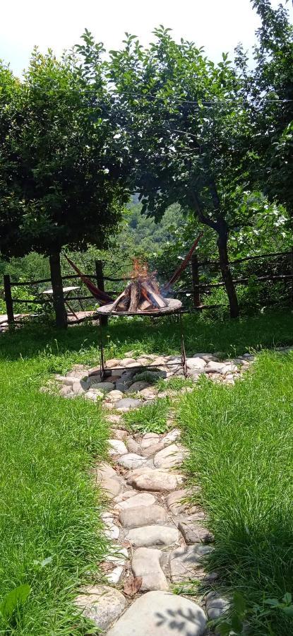 Tuta House Sighnaghi Hotel Kültér fotó