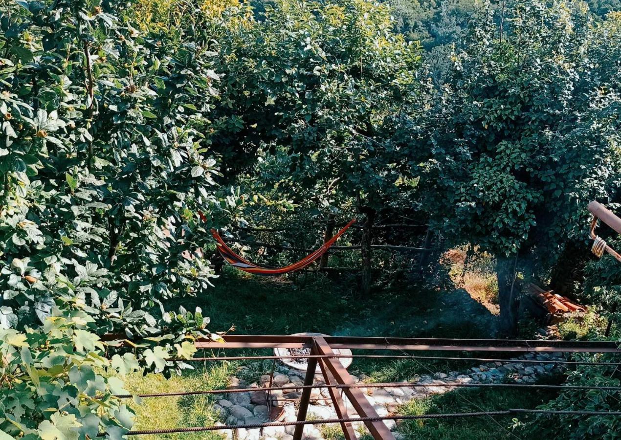 Tuta House Sighnaghi Hotel Kültér fotó
