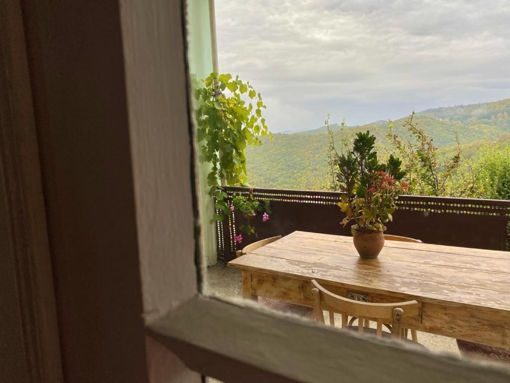 Tuta House Sighnaghi Hotel Kültér fotó